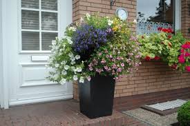 Pflanzkubel Blumenkubel Fiberglas Classic Anthrazit Pflanzkubel Blumenkubel Fiberglas Pflanzen