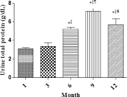 .жидкости (total protein in urine/cerebrospinal fluid (u/csf protein) roche/hitachi). Proteinuria In Relation To Age Dependent Changes In The Plasma And Urine Concentrations Of Some Electrolytes And Hematological Indices In Wistar Rats Sciencedirect