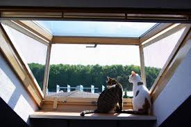 Dachfenster Katzen Losung Roof Window Cat Solution Dachfenster Katze Balkon Katzen Wohnungen