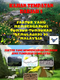 Tanah laterit ini ada di daerah lembap, yang kesuburan tanahnya tergantung pada kondisi batuan. Faktor Yang Mempengaruhi Tumbuh Tumbuhan Semula Jadi Di Malaysia