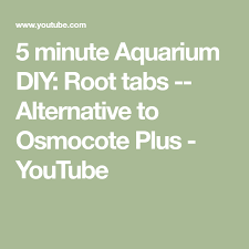 5 Minute Aquarium Diy Root Tabs Alternative To Osmocote Plus Youtube Diy Aquarium Root Aquarium