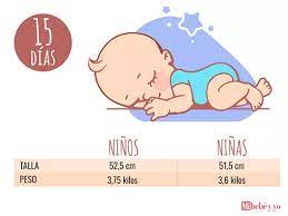 Bebe Recien Nacido 15 Dias Desarrollo Del Bebe Mes A Mes