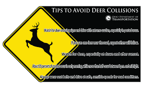 Safety Tips For Motorists During Deer Season In Eastern Ohio Motor Vehicle Safety Traffic Safety Safety Tips