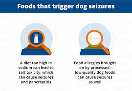 Dog Seizures Triggers Causes Treatments Canna Pet