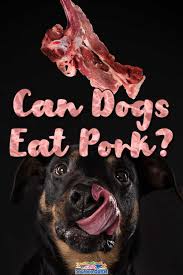 Can dogs eat pork and beans safely. Can Dogs Eat Pork Pros Cons 3 Best Recipes Included