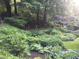 Epingle Par Jb Eri Sur Jardin Jardins