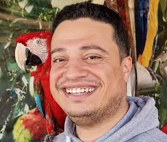 Way To Seniority At Data Engineering