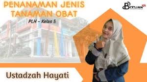 Maybe you would like to learn more about one of these? Pembelajaran Plh Kelas V Sd Penanaman Jenis Tanaman Obat Berlian School Youtube