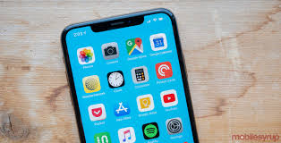 Image result for iphone xs max