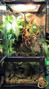 18 X18 X36 Paludarium Aquatic And Terrestrial Habitat For Reptiles Fish And Invertebrates That Can Hold Reptile Habitat Aquatic Turtle Tank Turtle Terrarium
