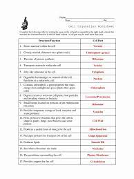 Collection Of Cell Organelles Worksheet Answer Key Biology Cell Organelles Biology Worksheet Cells Worksheet
