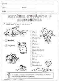 Meio ambiente vocabulário a atividade meio ambiente vocabulário tem como objetivo ampliar o vocabulário dos alunos com o significado. Pin Em 3 Ano
