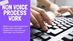 So for [for mnc wipro / tcs. Non Voice Process Work In Hindi What Is Non Voice Process In Bpo Youtube