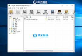After you click on registration. Internet Download Manager V6 31 8 Downloader Green Edition Programmer Sought