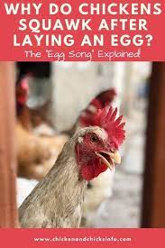 Howells thinks that this age frowns upon the romantic, that it is no use to write romance any more; Why Do Chickens Squawk After Laying An Egg 4 Reasons Chicken Chicks Info