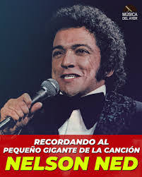 Nelson Ned's Instagram, Twitter & Facebook