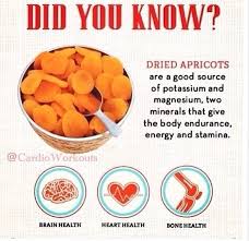 Benefit Food Dried Apricots Apricot Health Benefits Dry Fruits Benefits Apricot Benefits