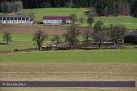 Was hat dies mit lasberg zu tun? Tragodie In Lasberg Bauer Lag Tot Neben Toter Kuh