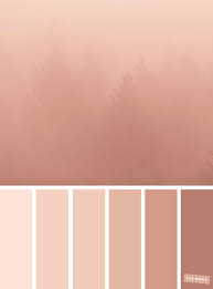Blush Tones Pretty Blush Color Scheme Farbschema Farben Schlafzimmerfarben