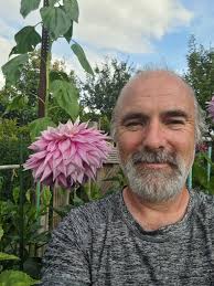 Some of my dahlias 😊