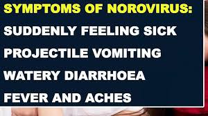 Image result for winter sickness bug