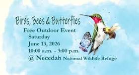 Birds, Bees and Butterflies
