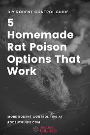 Best diy rat poison from effective homemade rat poison that cost next to nothing. 5 Homemade Rat Poison Options That Work Diy Rodent Control