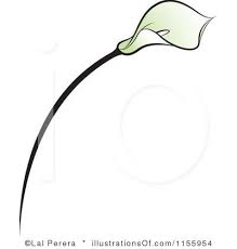 Black And White Lily Clipart Calla Lily Clipart Clipartfest Calla Lillies Calla Clip Art