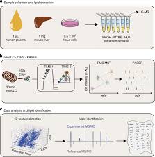 Ions are all around you right now and, while you're not aware of them, they may be affecting the way you feel. Trapped Ion Mobility Spectrometry And Pasef Enable In Depth Lipidomics From Minimal Sample Amounts Nature Communications