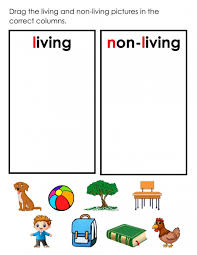 living or non living worksheets 99worksheets