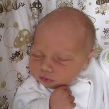 Fotogalerie: Babyboom, 37. týden