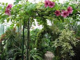 El jardín de las plantas (en francés «jardin des plantes») es un jardín botánico abierto al público, se encuentra en parís, en la v que se forma entre la gran mezquita, el campus universitario de jussieu y el río sena. Jardin Des Plantes De Caen Comite Des Parcs Et Jardins De France
