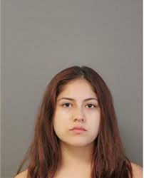 ᐅ Illinois Criminal Records 2009-2025