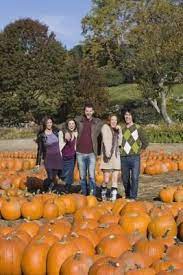 When To Plant Pumpkins Seeds Hunker When To Plant Pumpkins Growing Pumpkins Harvest Party