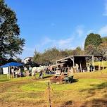 Sorghum Festival and Breakfast