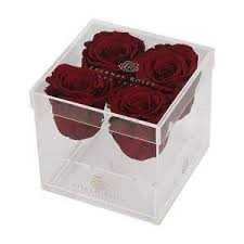 Madison Four Rose Gift Box In 2020 Rose Gift Diy Fairy Wings Gift Box