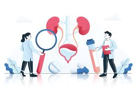 Image result for Nephrolithiasis