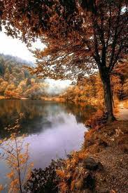1600 x 1068 jpeg 497 кб. Autumn Lake Autumn Scenery Nature Photography Autumn Photography