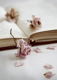 Indeed, you may have to compromise. Dry Rose2 Book Photography Coffee And Books Still Life Photography