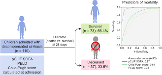 Image result for pSOFA Score