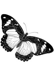 The book features full and postcard size images inspired by nature, travels, and more. 41 Butterfly Coloring Pages Coloring Pages