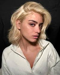 Dixie D'Amelio's Instagram, Twitter & Facebook