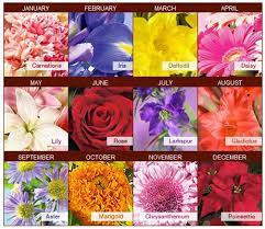 Flowers for each month of year. Pin By Õ¬ê­¹à¸ ê­°á± On Birth Flowers Birth Month Flowers Month Flowers Flower Meanings Chart