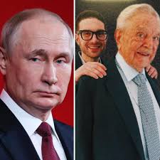 Dolphin gives gifts from the deep sea