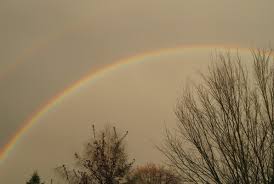 Es geht um hunde und eigentlich alle tiere. Hundetraume Werden Wahr E V Regenbogenland