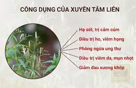 May 12, 2020 · hannah olala là một beauty blogger được nhiều người quan tâm và theo dõi khi chia sẻ các tips làm đẹp trên kênh social media là youtube và facebook. Nurswuehgy2mfm