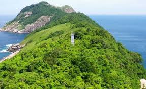 Jan 30, 2021 · snake island info. What It S Like To Visit Snake Island Home To 4 000 Deadly Vipers With Venom That Can Melt Your Skin