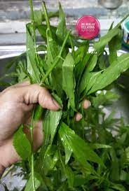 Potong epal hijau dan mengeluarkan teras/benih, masukkan ke dalam penggisar dengan segelas air. Resepi Lemak Putih Daun Belalai Gajah Sabah Snake Grass Ini Adalah Bellarina Natasya