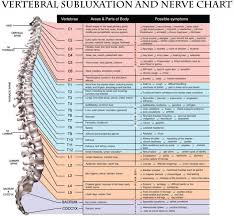 Pin On Chiropractice