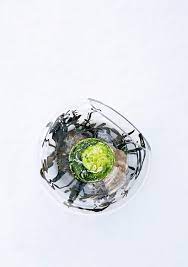 3 Michelin Star Restaurant Maaemo Oslo Oslove Norway Culinary Artist Food Plating Beautiful Food